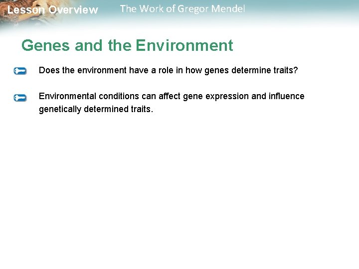  Lesson Overview The Work of Gregor Mendel Genes and the Environment Does the