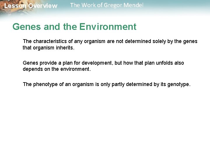  Lesson Overview The Work of Gregor Mendel Genes and the Environment The characteristics