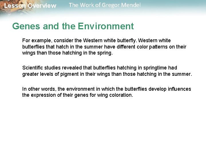  Lesson Overview The Work of Gregor Mendel Genes and the Environment For example,