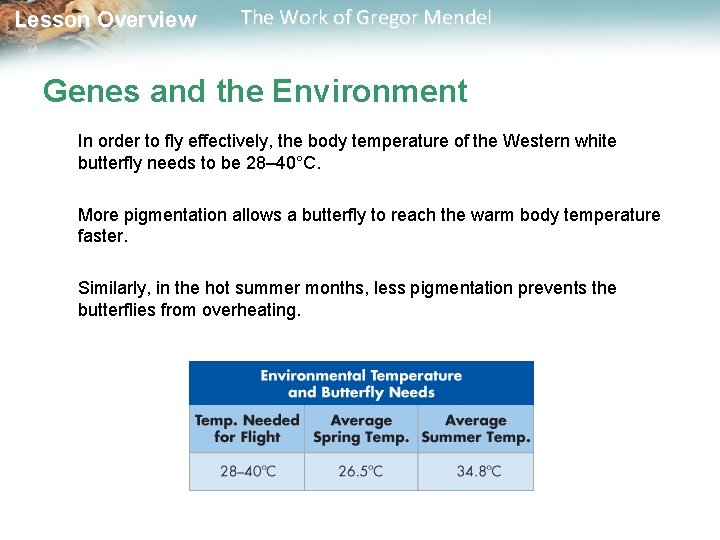  Lesson Overview The Work of Gregor Mendel Genes and the Environment In order
