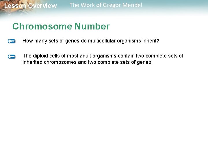  Lesson Overview The Work of Gregor Mendel Chromosome Number How many sets of
