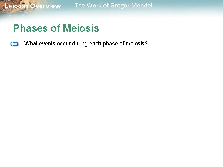  Lesson Overview The Work of Gregor Mendel Phases of Meiosis What events occur