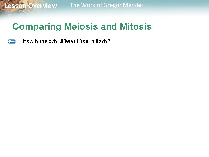  Lesson Overview The Work of Gregor Mendel Comparing Meiosis and Mitosis How is