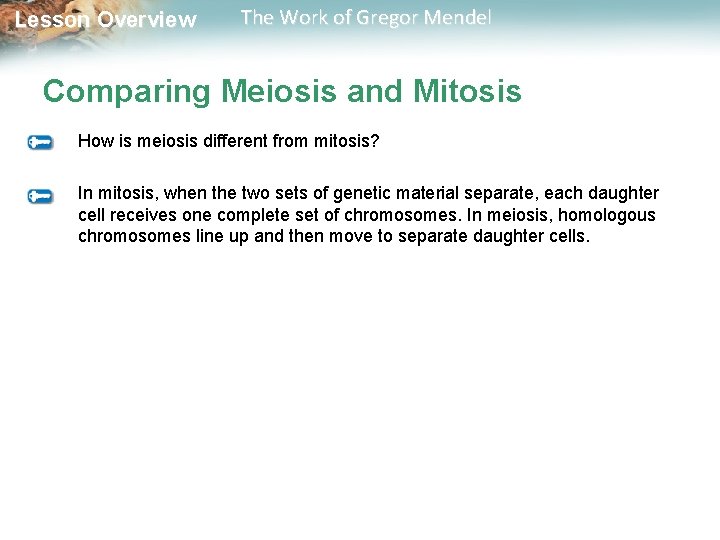  Lesson Overview The Work of Gregor Mendel Comparing Meiosis and Mitosis How is