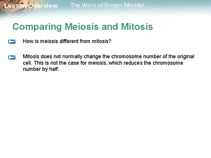  Lesson Overview The Work of Gregor Mendel Comparing Meiosis and Mitosis How is