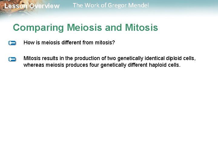  Lesson Overview The Work of Gregor Mendel Comparing Meiosis and Mitosis How is