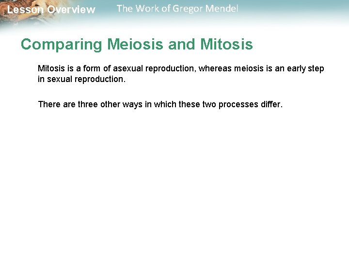  Lesson Overview The Work of Gregor Mendel Comparing Meiosis and Mitosis is a