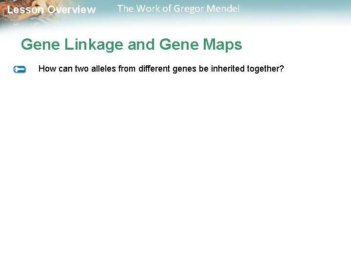  Lesson Overview The Work of Gregor Mendel Gene Linkage and Gene Maps How