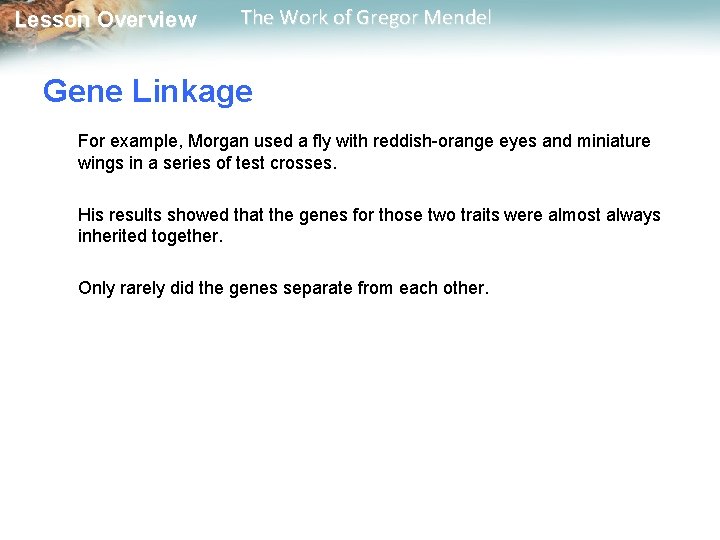  Lesson Overview The Work of Gregor Mendel Gene Linkage For example, Morgan used