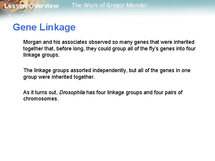  Lesson Overview The Work of Gregor Mendel Gene Linkage Morgan and his associates