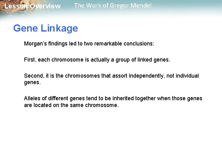  Lesson Overview The Work of Gregor Mendel Gene Linkage Morgan’s findings led to