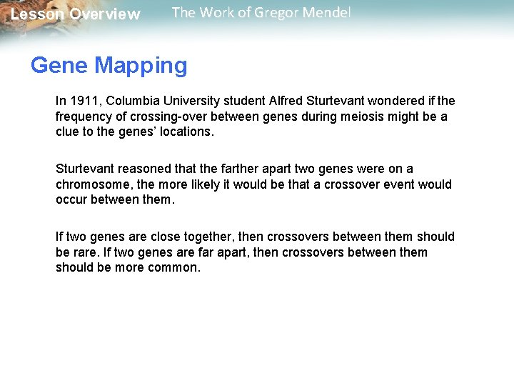  Lesson Overview The Work of Gregor Mendel Gene Mapping In 1911, Columbia University