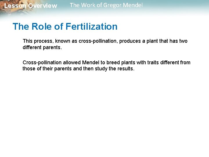  Lesson Overview The Work of Gregor Mendel The Role of Fertilization This process,
