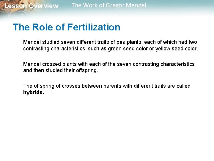  Lesson Overview The Work of Gregor Mendel The Role of Fertilization Mendel studied