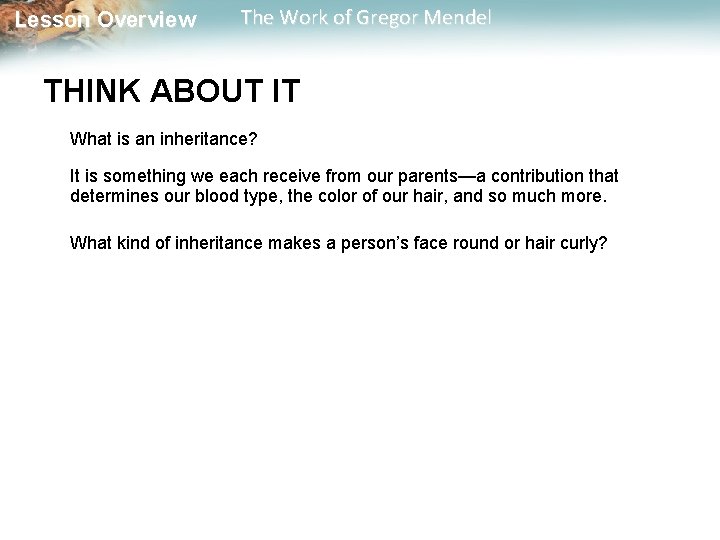  Lesson Overview The Work of Gregor Mendel THINK ABOUT IT What is an