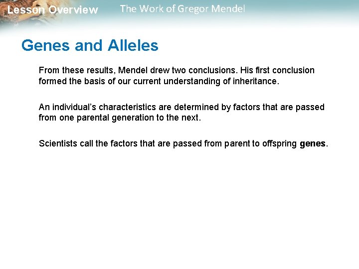  Lesson Overview The Work of Gregor Mendel Genes and Alleles From these results,