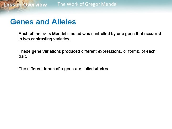  Lesson Overview The Work of Gregor Mendel Genes and Alleles Each of the