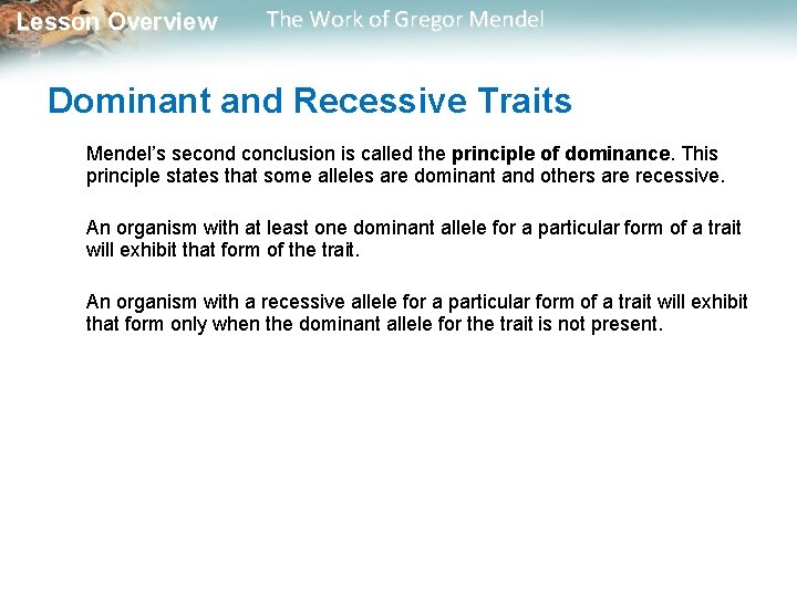  Lesson Overview The Work of Gregor Mendel Dominant and Recessive Traits Mendel’s second