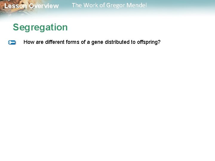  Lesson Overview The Work of Gregor Mendel Segregation How are different forms of