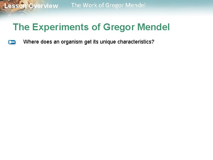  Lesson Overview The Work of Gregor Mendel The Experiments of Gregor Mendel Where