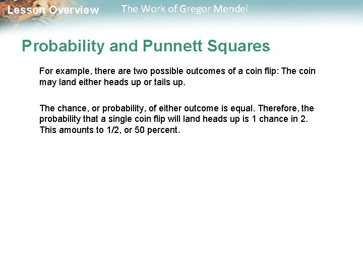  Lesson Overview The Work of Gregor Mendel Probability and Punnett Squares For example,