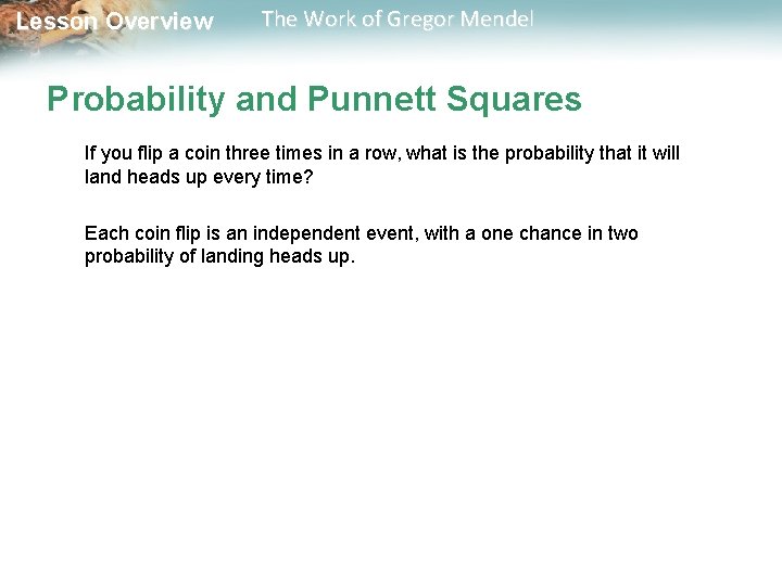  Lesson Overview The Work of Gregor Mendel Probability and Punnett Squares If you