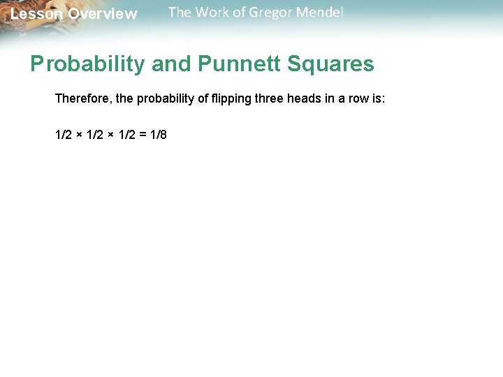  Lesson Overview The Work of Gregor Mendel Probability and Punnett Squares Therefore, the