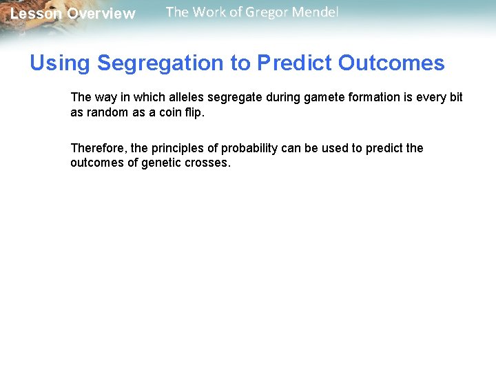  Lesson Overview The Work of Gregor Mendel Using Segregation to Predict Outcomes The