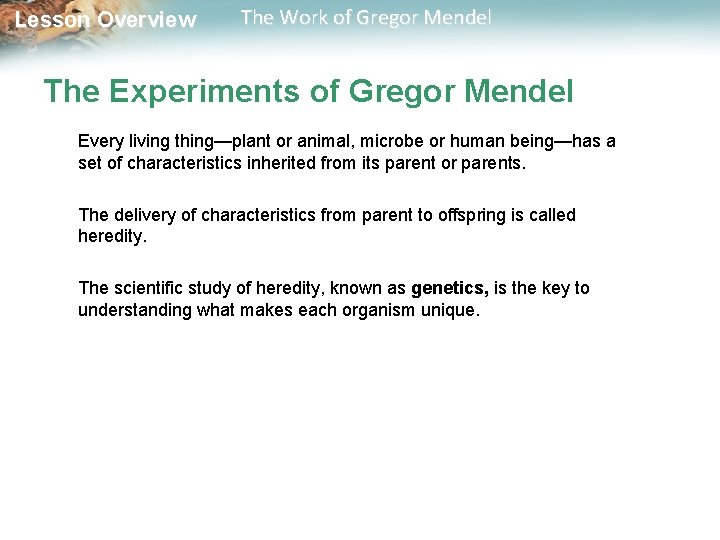  Lesson Overview The Work of Gregor Mendel The Experiments of Gregor Mendel Every