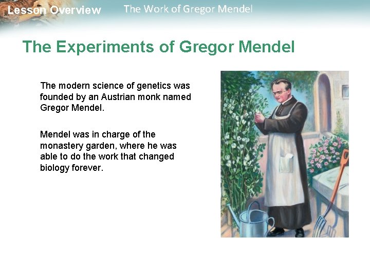  Lesson Overview The Work of Gregor Mendel The Experiments of Gregor Mendel The