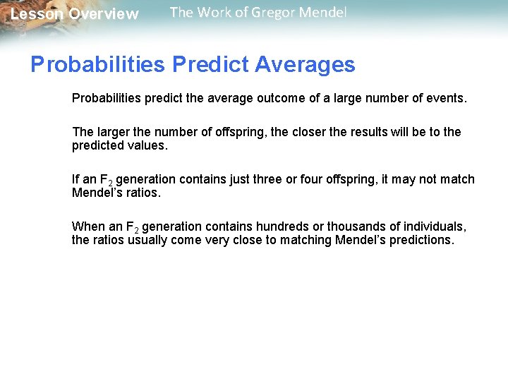  Lesson Overview The Work of Gregor Mendel Probabilities Predict Averages Probabilities predict the