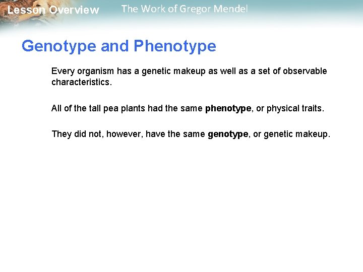  Lesson Overview The Work of Gregor Mendel Genotype and Phenotype Every organism has