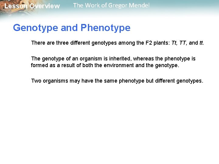  Lesson Overview The Work of Gregor Mendel Genotype and Phenotype There are three