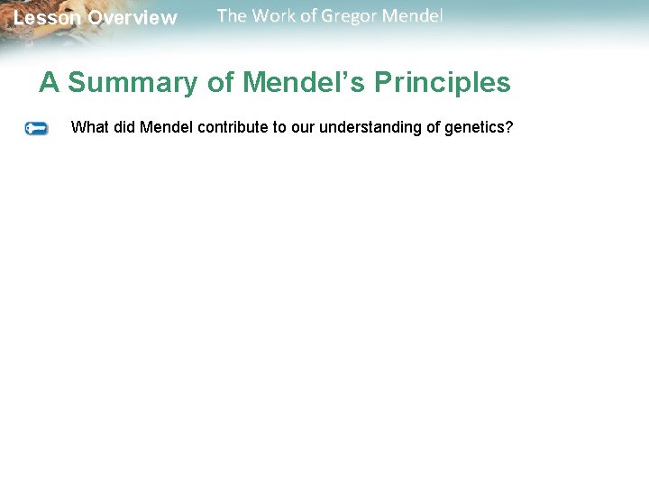  Lesson Overview The Work of Gregor Mendel A Summary of Mendel’s Principles What