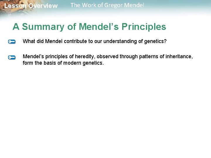  Lesson Overview The Work of Gregor Mendel A Summary of Mendel’s Principles What