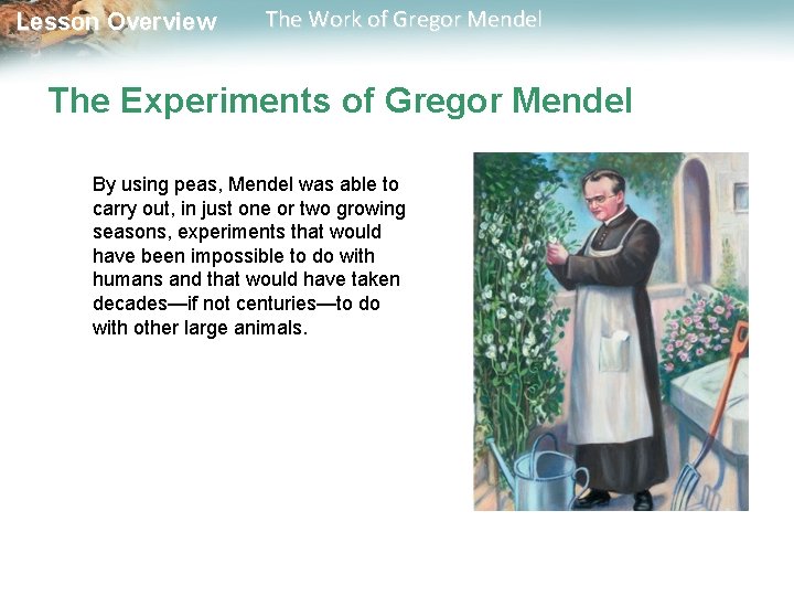  Lesson Overview The Work of Gregor Mendel The Experiments of Gregor Mendel By