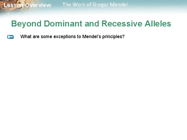  Lesson Overview The Work of Gregor Mendel Beyond Dominant and Recessive Alleles What