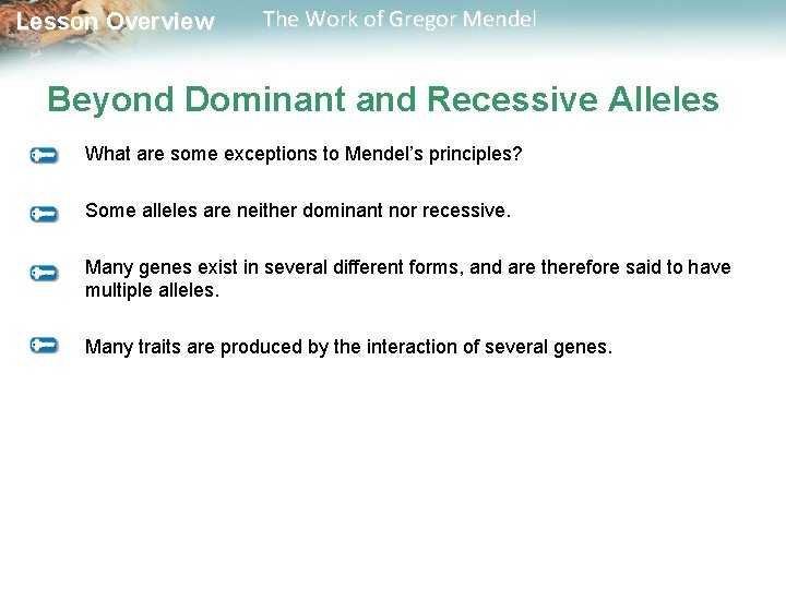  Lesson Overview The Work of Gregor Mendel Beyond Dominant and Recessive Alleles What