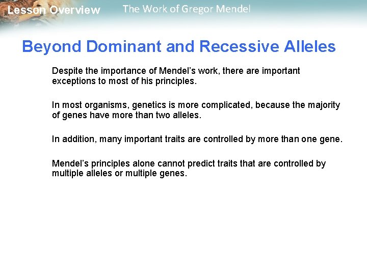  Lesson Overview The Work of Gregor Mendel Beyond Dominant and Recessive Alleles Despite