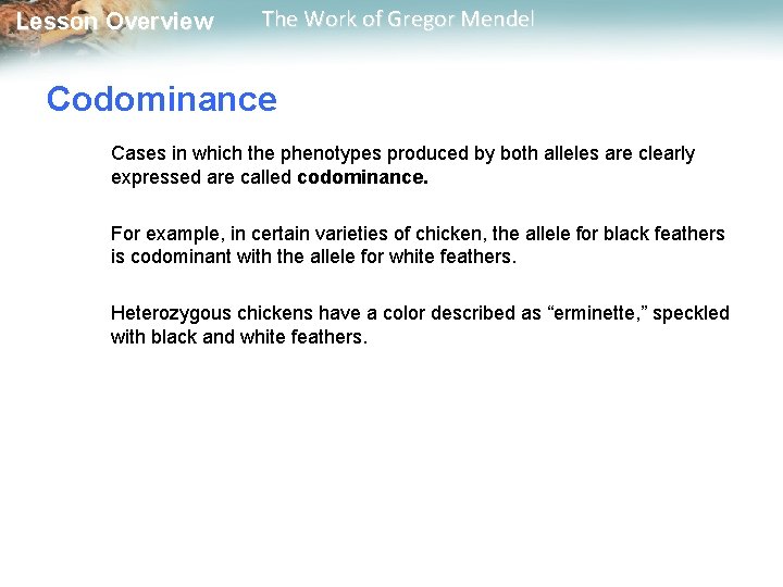  Lesson Overview The Work of Gregor Mendel Codominance Cases in which the phenotypes
