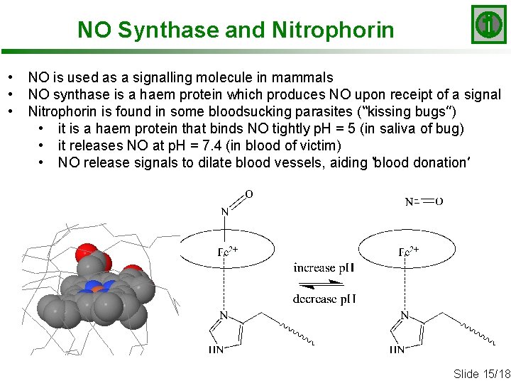 NO Synthase and Nitrophorin • • • NO is used as a signalling molecule