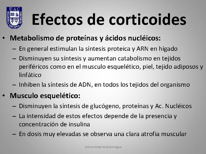 Efectos de corticoides • Metabolismo de proteínas y ácidos nucléicos: – En general estimulan Efectos de corticoides • Metabolismo de proteínas y ácidos nucléicos: – En general estimulan