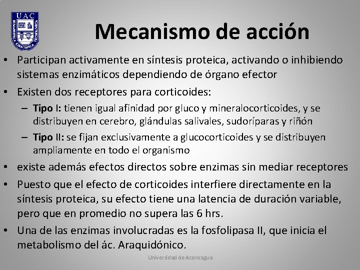 Mecanismo de acción • Participan activamente en síntesis proteica, activando o inhibiendo sistemas enzimáticos Mecanismo de acción • Participan activamente en síntesis proteica, activando o inhibiendo sistemas enzimáticos
