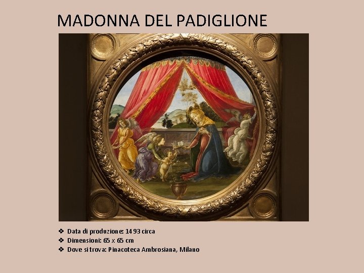 MADONNA DEL PADIGLIONE v Data di produzione: 1493 circa v Dimensioni: 65 x 65 MADONNA DEL PADIGLIONE v Data di produzione: 1493 circa v Dimensioni: 65 x 65