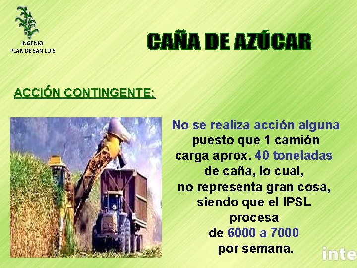 INGENIO PLAN DE SAN LUIS ACCIÓN CONTINGENTE: No se realiza acción alguna puesto que