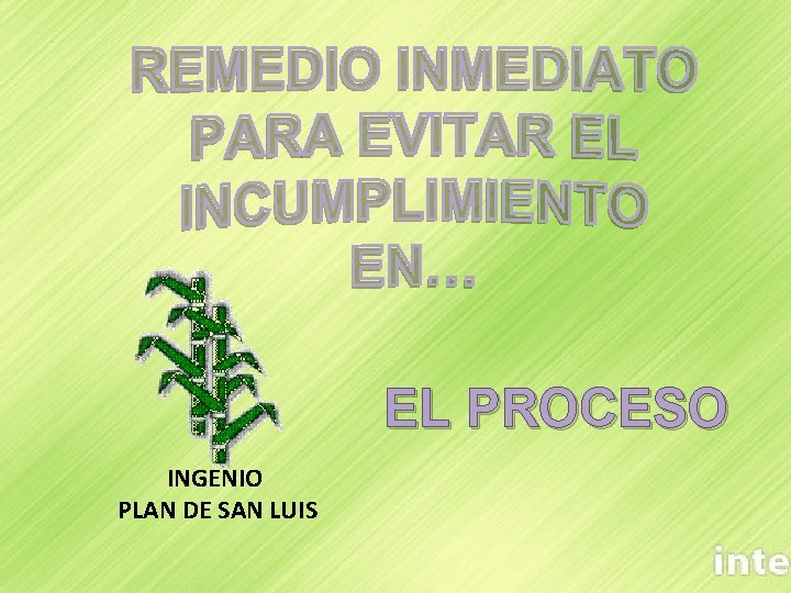 EL PROCESO INGENIO PLAN DE SAN LUIS 