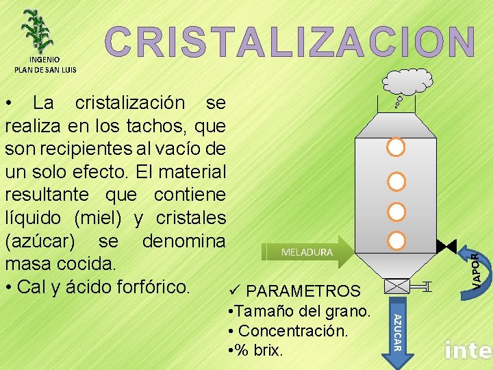 INGENIO PLAN DE SAN LUIS CRISTALIZACION AZUCAR • Tamaño del grano. • Concentración. •