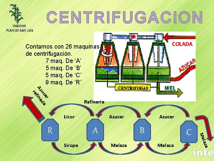 INGENIO PLAN DE SAN LUIS CENTRIFUGACION COLADA Contamos con 26 maquinas de centrifugación. 7
