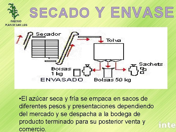 INGENIO PLAN DE SAN LUIS SECADO Y ENVASE • El azúcar seca y fría
