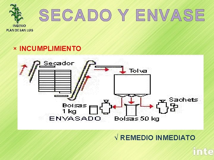 INGENIO PLAN DE SAN LUIS SECADO Y ENVASE × INCUMPLIMIENTO √ REMEDIO INMEDIATO 